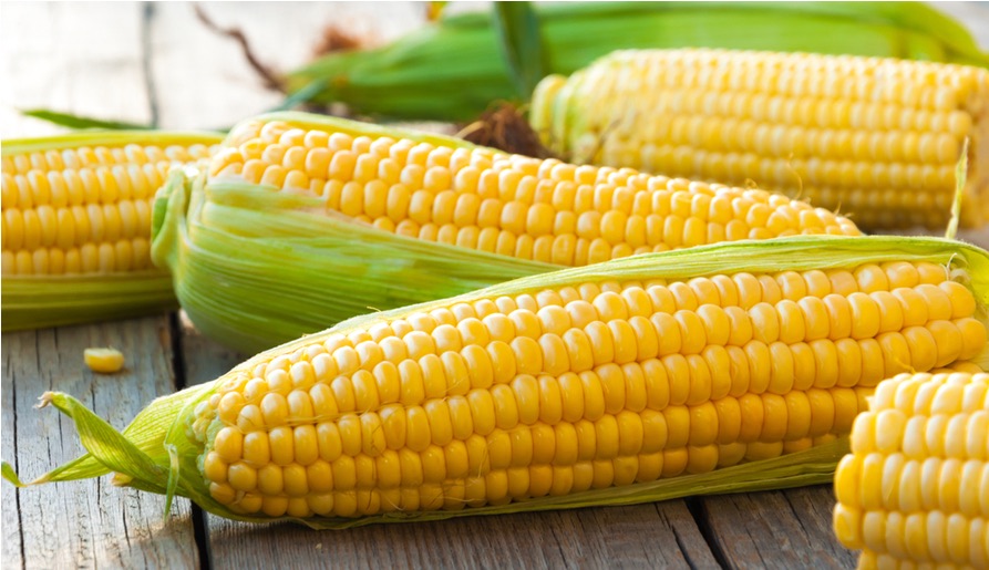 corn кукуруза