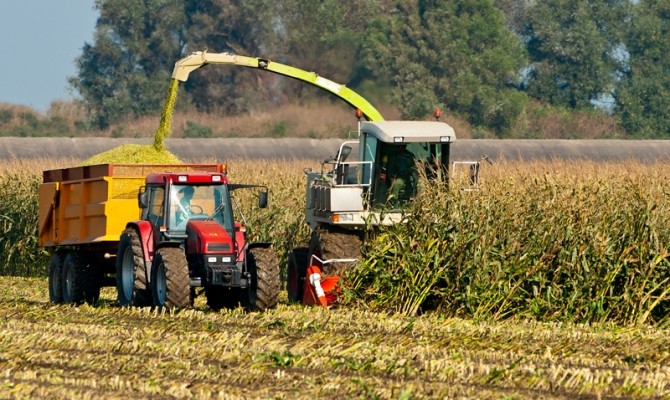 сбор урожая corn кукуруза