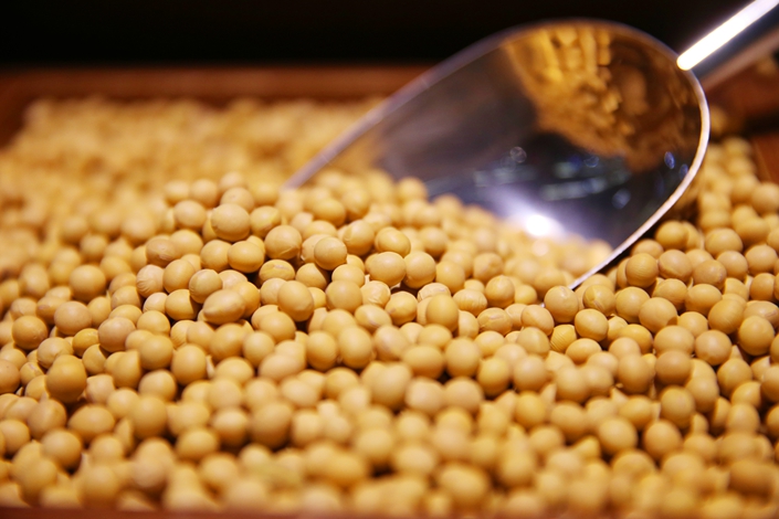 соя soya soy soja soybeans