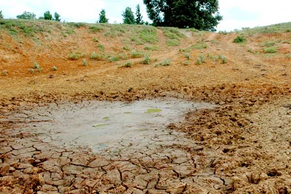 погода засуха drought