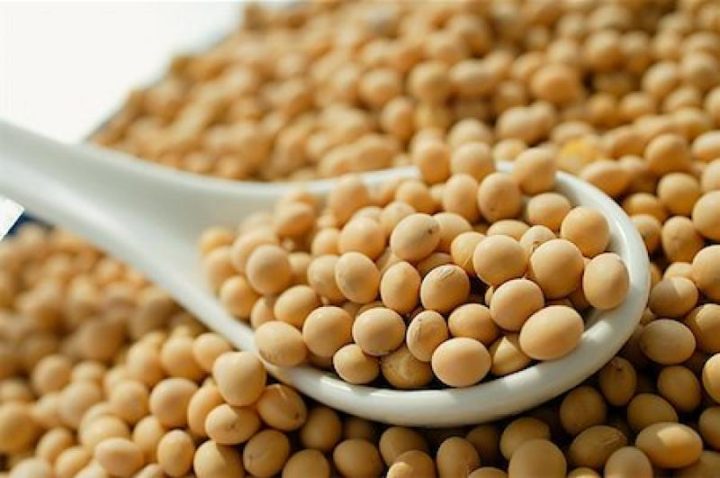 соя soya soy soja soybeans