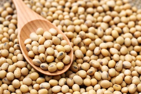 соя soy soybeans soja