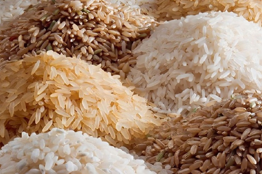 рис rice