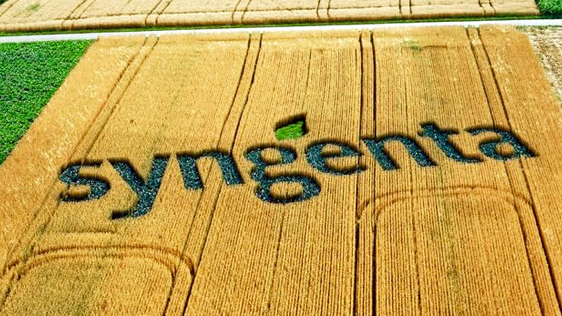 Syngenta Сингента