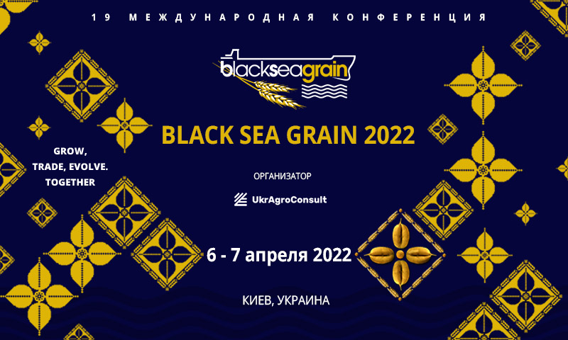 bsg2022