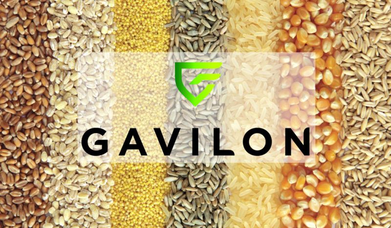 Gavilon