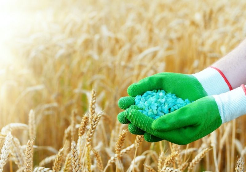 Mineral fertilizer prices in Ukraine