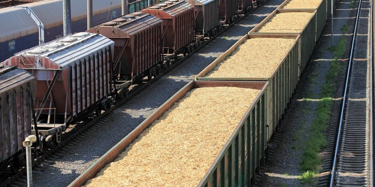 Grain transportation by rail in Ukraine