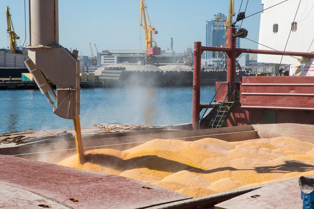 Grain transportation by sea