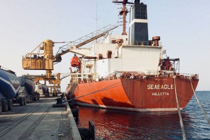 Seaeagle