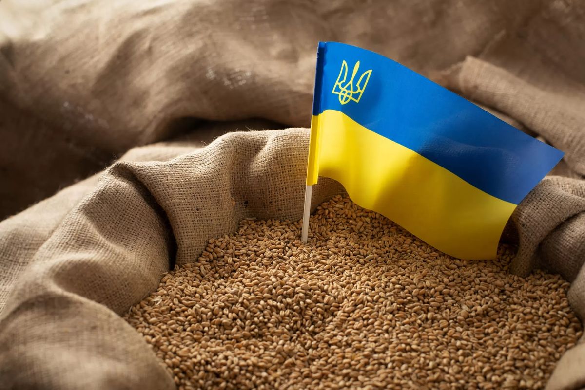 Grain from Ukraine