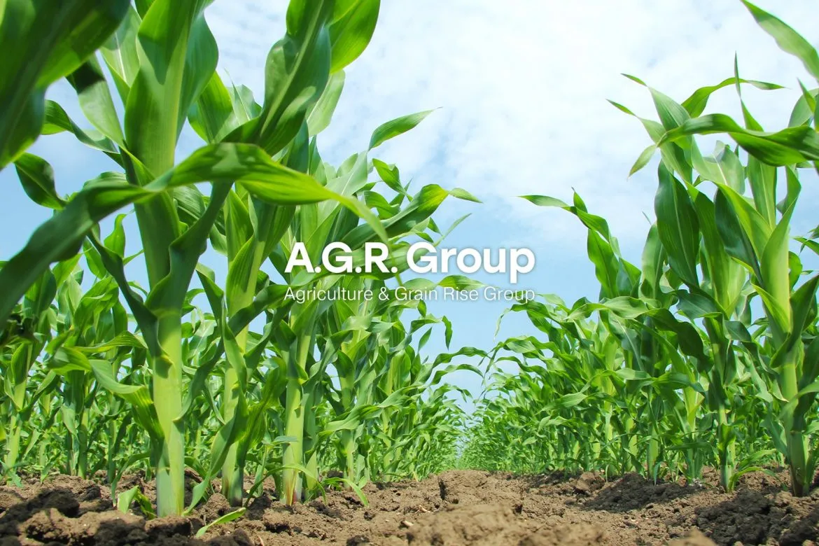 A.G.R. Group