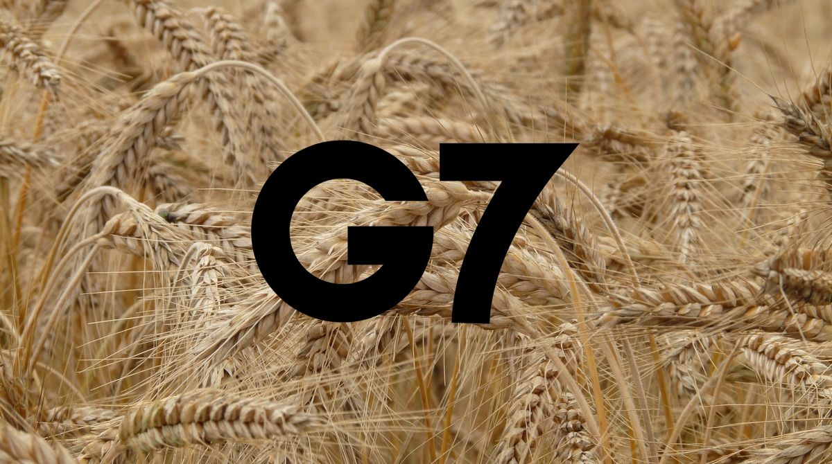 G7