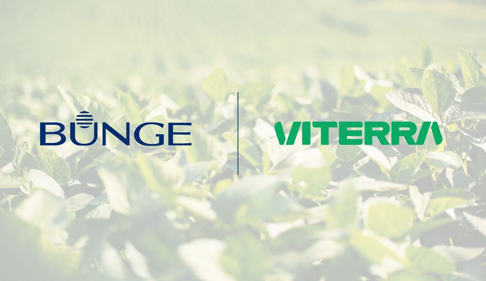 bunge vittera