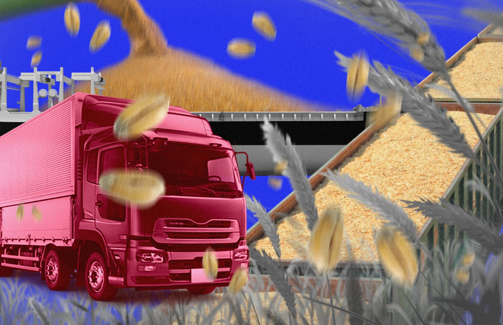 Logistics and grain transportation in Ukraine