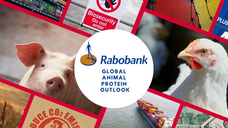 Rabobank